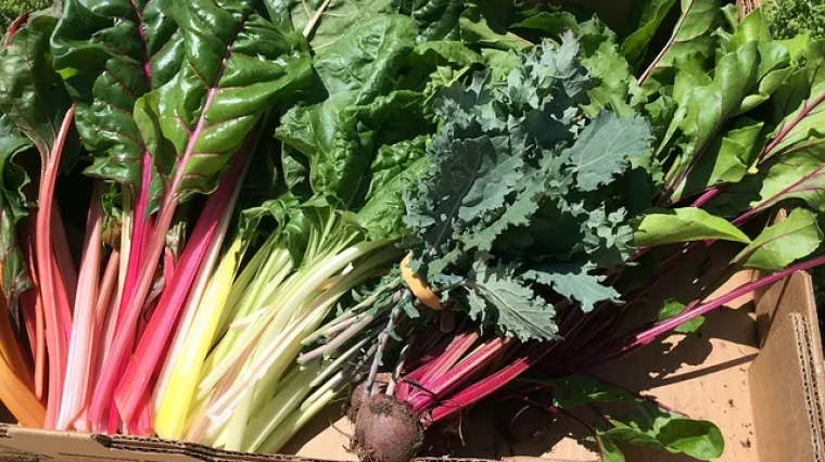 Blitva s jajima i mlijekom - recept i priprema