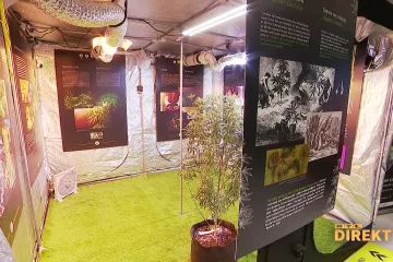 Otvoren prvi hrvatski Muzej kanabisa: Ulaznicu možete popušiti, a ako radite u Ministarstvu ulaz je besplatan