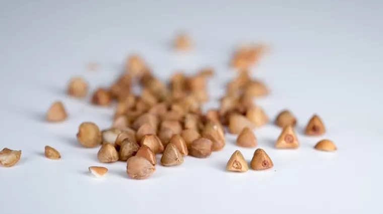 Hladna salata od heljde - recept i priprema