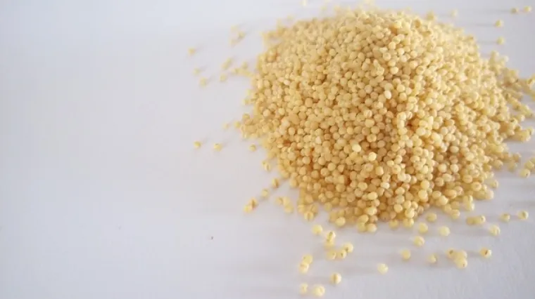 Hladna salata od prosa - recept i priprema