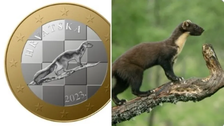 Autor fotografije kune: 'Ne mogu si priu&scaron;titi poduzimanje pravnih postupaka. Možda ovo natjera organizatore da me kontkatiraju'