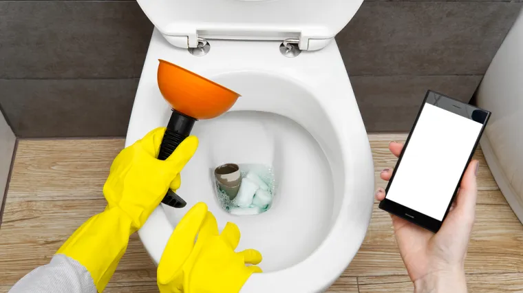 WC papir je praktičan, ali nosi određene rizike: Oni to najbolje znaju i zato nemaju ovih problema