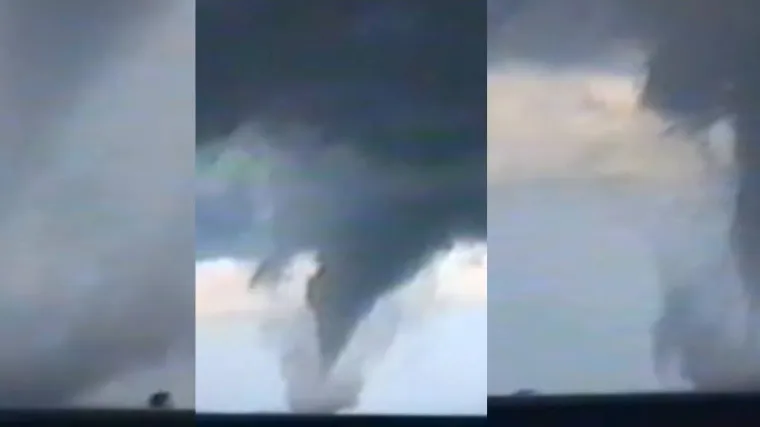 Pijavice harale Dalmacijom: Ima ih uzduž obale u svako doba godine, a najjače su okretale trajekte i krčile &scaron;ume