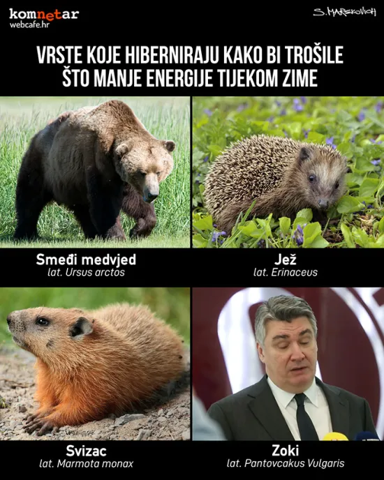 Zalihe su skupljene