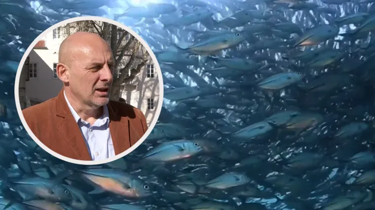 Lov u mutnom, pjevanje u crkvenom zboru i Ante Gotovina: Drama oko uzgoja tune u Hrvatskoj ide dalje, a EU &scaron;alje opomene