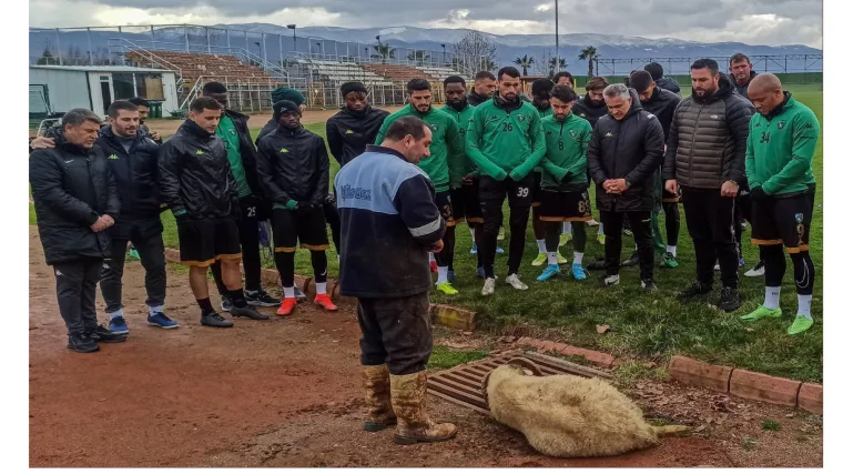 Neobičan ritual: Turski klub nakon serije poraza žrtvovao ovna za sreću