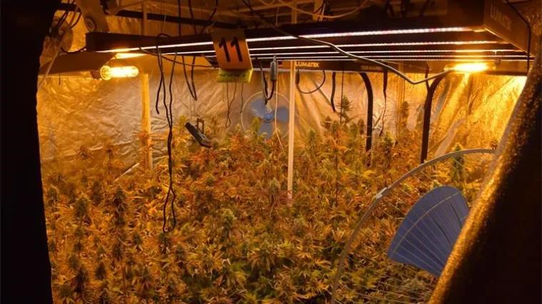 FOTO Slovencima i Hrvatu otkrili 4 laboratorija za uzgoj marihuane uz 'sofisticiranu opremu' kako je naziva policija