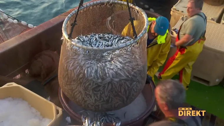 Za Direkt ribar, frizer, cvjećarka, svećenik i ekonomist o paketu Vlade: 'Te&scaron;ko će nas to izvući. U nemilosti smo trgovaca'