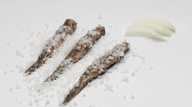 Koja je osnovna razlika između srdela i papalina?