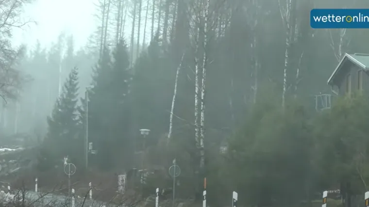 VIDEO Oluja Ylenia pogodila Njemačku: Brzina vjetra i do 152 kilometara na sat, u Hamburgu najkritičnije