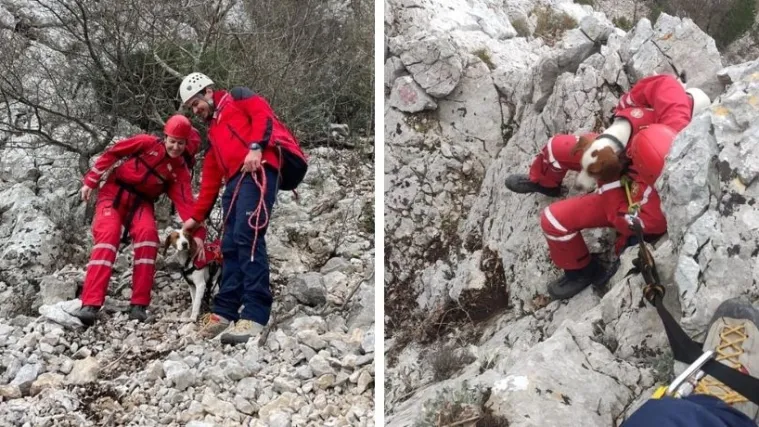Kakve nju&scaron;ke su ti HGSS-ovci: Vlasnici danima slu&scaron;ali lavež psa koji je zapeo na litici. Stvar su rije&scaron;ili profesionalci