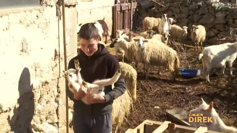 Direkt u mjestu u Dalmaciji gdje HDZ pobjeđuje sa 100%. Zatvorili &scaron;kolu, po&scaron;tu, a ni janjci nisu vi&scaron;e &scaron;to su bili