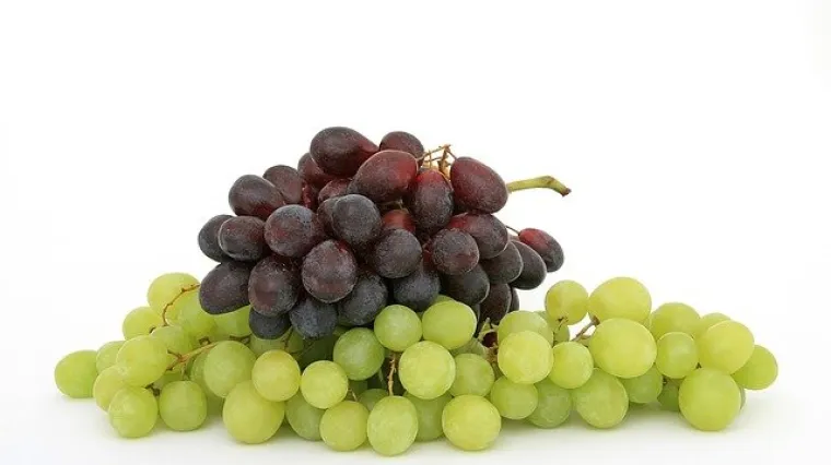 Sok od crnog grožđa - recept i priprema osvježavajućeg voćnog soka