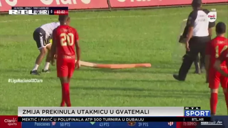 Zmija na terenu prestravila nogometa&scaron;e: Policajci koristili bizarnu metodu kako bi maknuli reptila