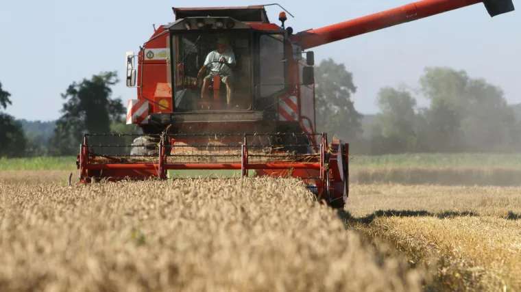 Zbog eskalacije rata u Ukrajini, cijena bu&scaron;ela p&scaron;enice porasla i približila se na najvi&scaron;u razinu od 2012.