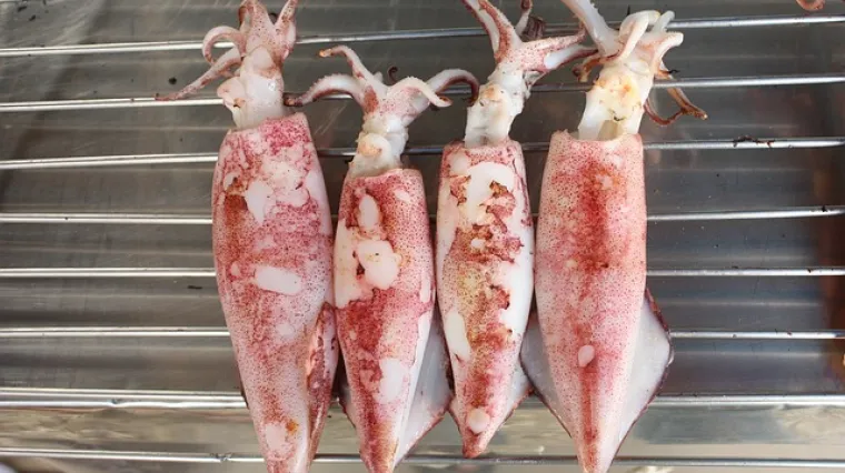 Osvježavajuća i ukusna salata od liganja kao predjelo ili lagani ručak