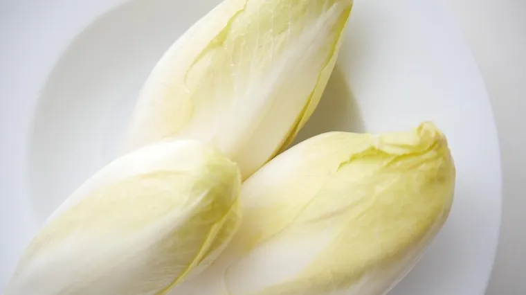 Kako kuhati i pripremiti cikoriju?