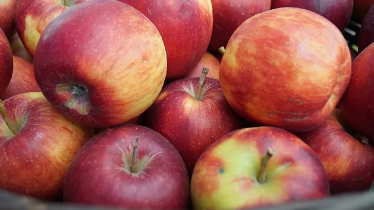 Pečene jabuke punjene orasima odličan desert