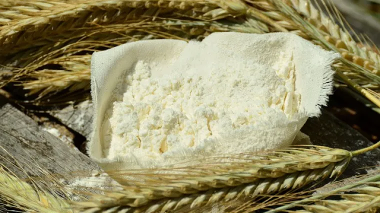 Koje je bra&scaron;no bez glutena?