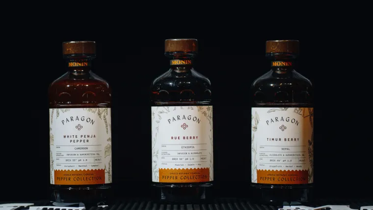 Odu&scaron;evljenje zvano Paragon