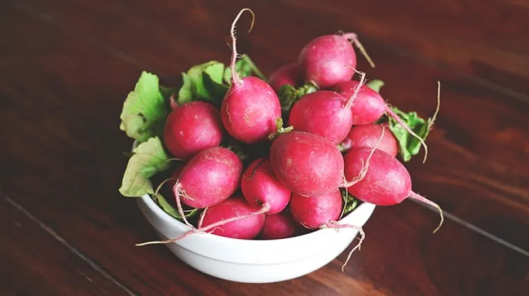 Salata od rotkve idealan prilog uz glavno jelo