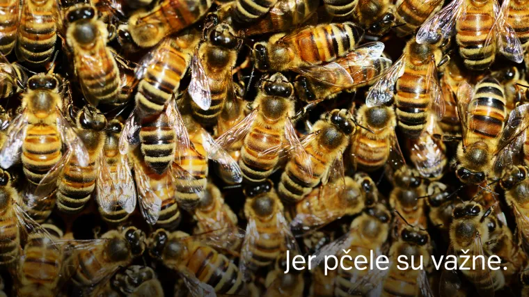 Spasioci pčela kreću u akciju i trebaju va&scaron;u pomoć!