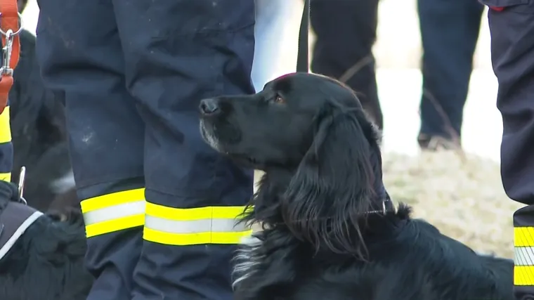 Zagrebački vatrogasci pripremaju se za nove katastrofe, a u posljednjoj vježbi najvažniju ulogu imali su psi