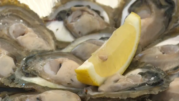 U ožujku je najpunija i najslasnija, a njoj u čast organizira se i prava Festa: U čast kamenici Stonci su plesali i pjevali