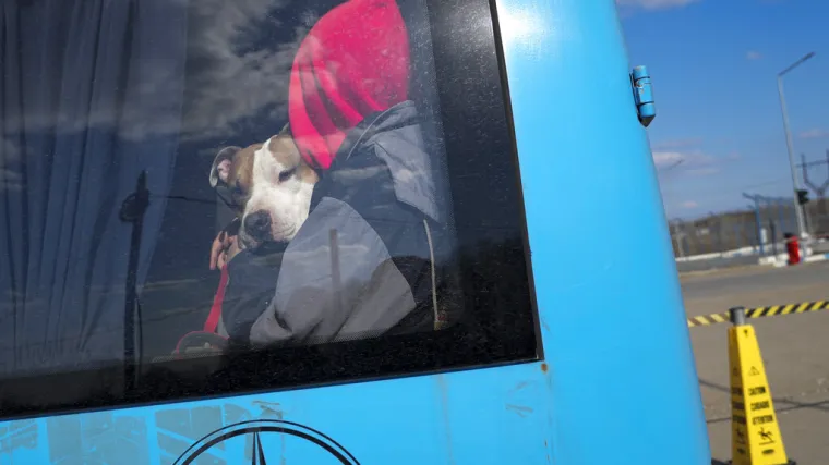 Gradsko vijeće: 'Nekoliko tisuća ljudi iz Mariupolja na silu je odvedeno u Rusiju'