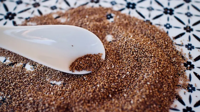 Salata od amaranta bezglutensko predjelo