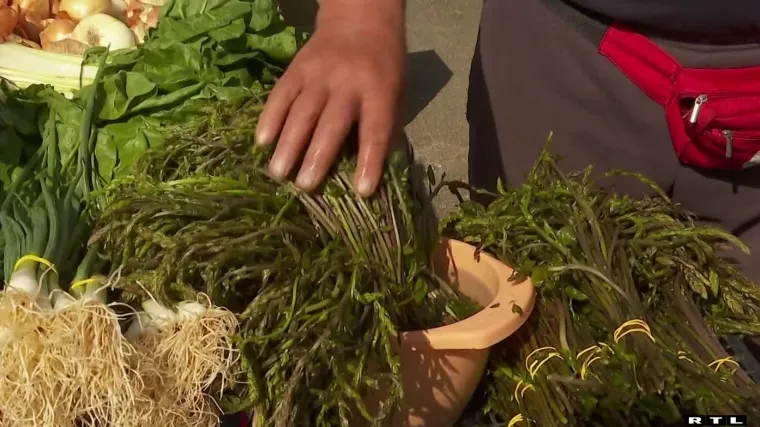 Zbog su&scaron;e nema &scaron;paroga, a ove koje se nude ko&scaron;taju 'ko suho zlato'. Berači bi u 'nabavku' sami, ali nema dozvola