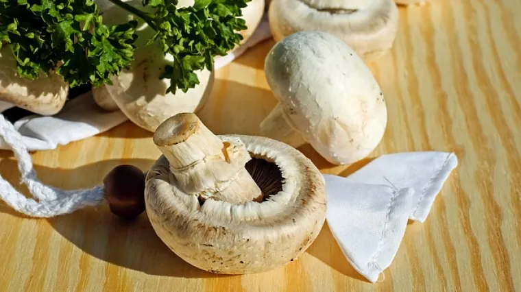 Punjene gljive sa sirom - recept i priprema
