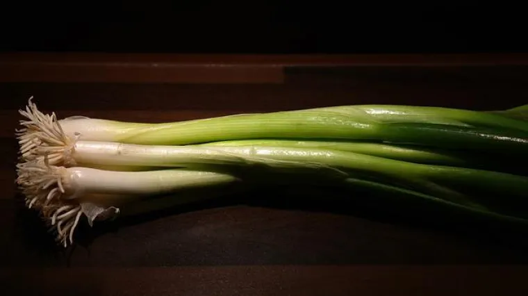 Kada se sadi mladi luk?