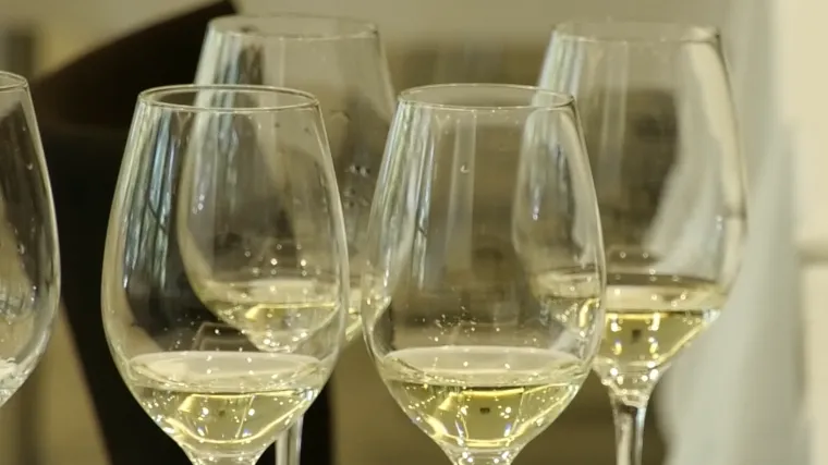 Potražnja za kraljicom istarskih vina, malvazijom ne jenjava! Vinari se spremaju za bogatu sezonu