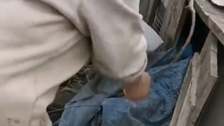 VIDEO Žena ukrala streljivo ruskim vojnicima dok su spavali, snimka njenog poteza &scaron;iri se dru&scaron;tvenim mrežama