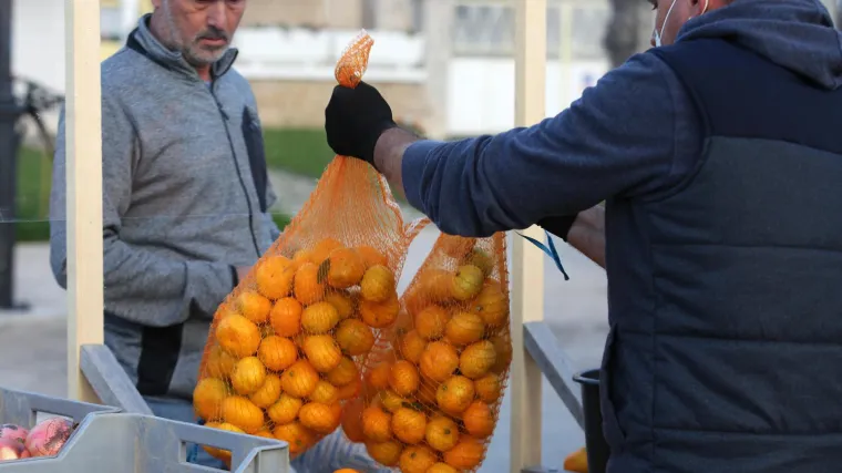 Poskupljenje energenata, rat u Ukrajini...Cijene neretvanskih mandarina mogle bi otići gore, proizvođači objavili koliko