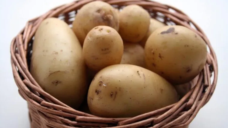 Kako pripremiti krumpir s vrhnjem?