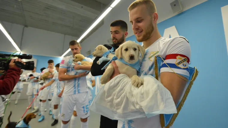 'Udomi me': Rijeka iza&scaron;la na teren protiv Dinama s 11 pasa koji traže svoj dom