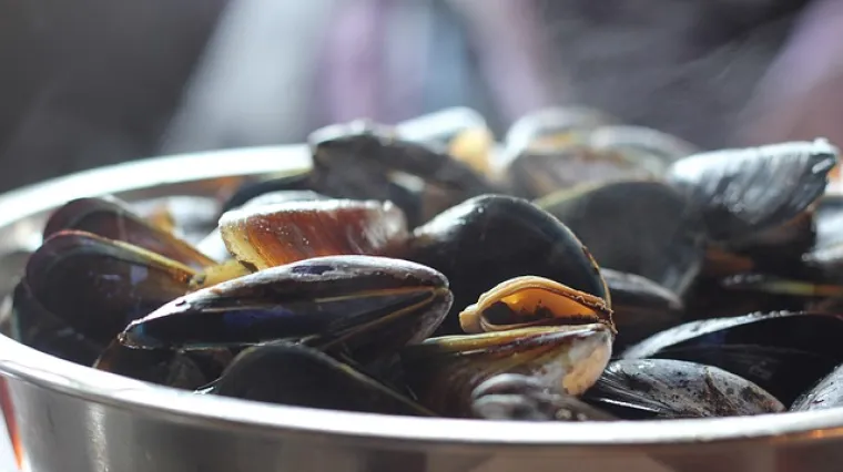 Kratki vodič za pravilno či&scaron;ćenje dagnji