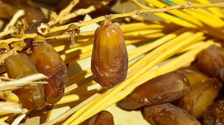 Kako čuvati datulje na pravilan način?