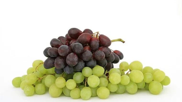 Kako napraviti marmeladu od grožđa?