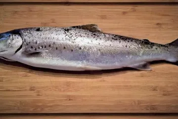 Pastrva na tavi ručak gotov za pola sata