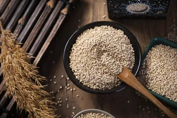 Salata od kvinoje i slanutka kao predjelo ili prilog