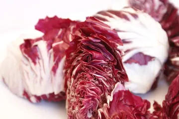 Salata od radiča jedna od najukusnijih salata