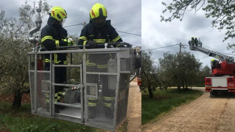 FOTO Jedan galeb na teren izvukao vatrogasce. Nogama ostao zaglavljen u strujne kablove, visio s glavom naopačke