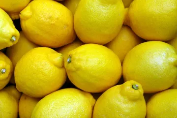 Kako funkcionira zamrzavanje limuna? Koliko dugo limun smije stajati u zamrzivaču?