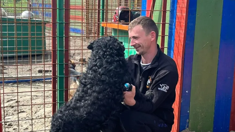 Pas prepoznao vlasnika nakon pet godina: 'Toliko mu se obradovao da smo svi plakali'