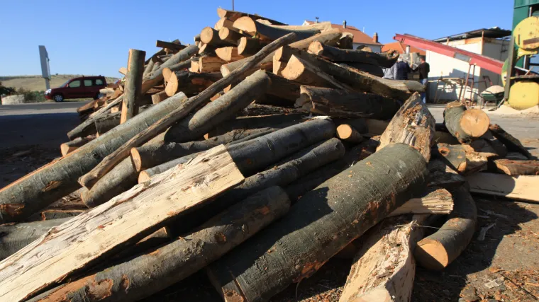 Užasna tragedija na sisačkom području: Poginulo devetogodi&scaron;nje dijete. U igri se prevrnuo trupac, preminulo je u bolnici