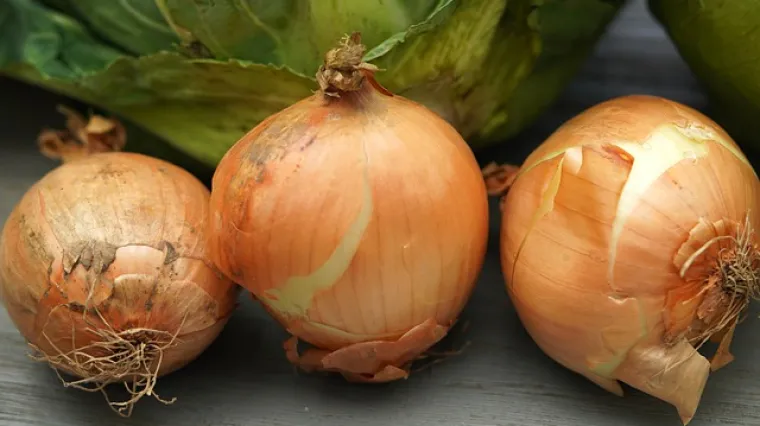 Kako se priprema čaj od ljuske luka?