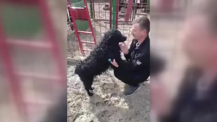 Nakon 5 godina prona&scaron;ao je svog psa! Davno prekinuto prijateljstvo se nastavlja: 'Nisam ni progovorio, skužio me odmah'